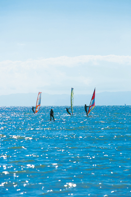 夏のお出かけスポットとして人気「材木座海岸」