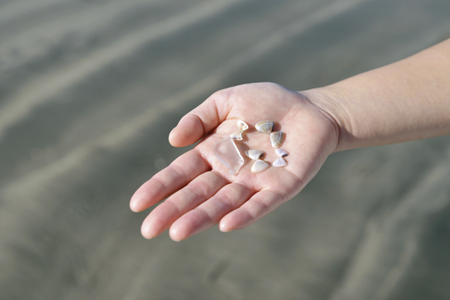 夏のお出かけスポットとして人気「材木座海岸」