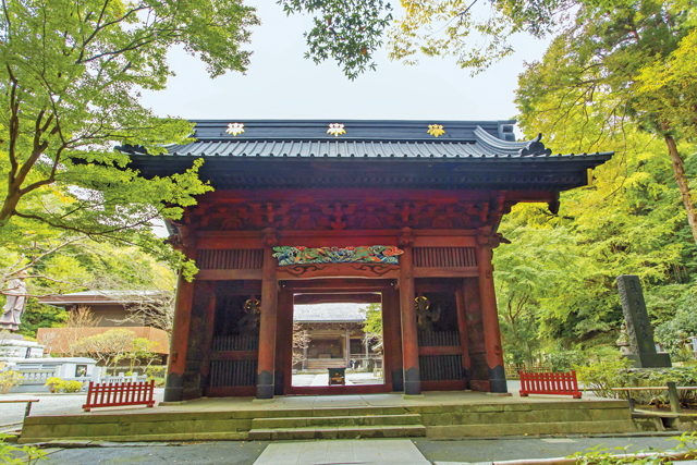 開放的な空間を季節の花が彩る「妙本寺」