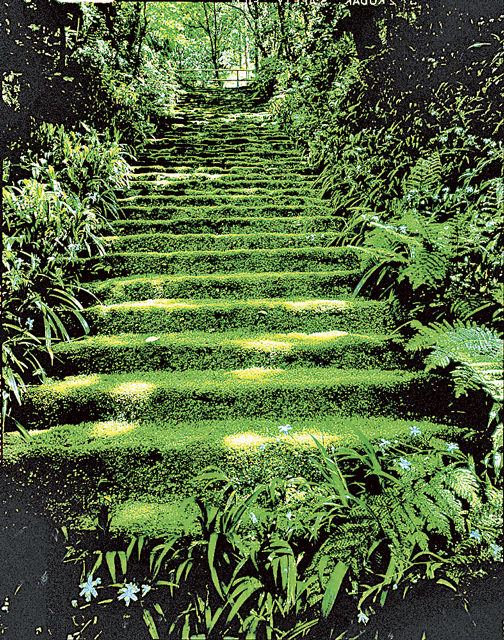 【材木座の観光スポット】妙法寺