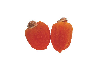 【信州】冬の花・くだもの・風物詩