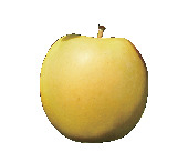 【信州】秋の花・くだもの・風物詩