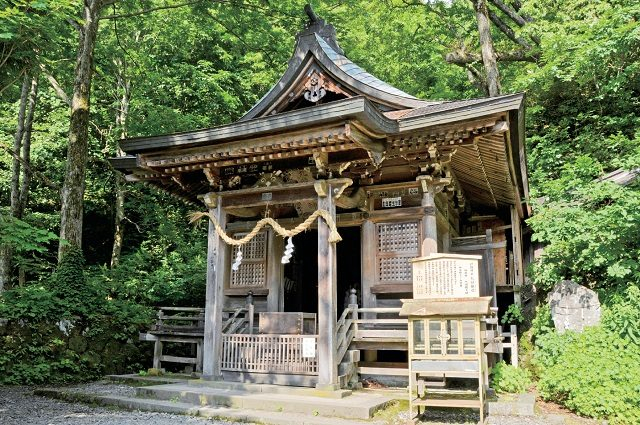 【奥社参道ハイキングコース紹介】②九頭龍社