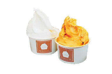 【江の島×ローカル体験】江の島を対岸から望む