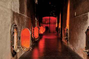 発酵タンク入口