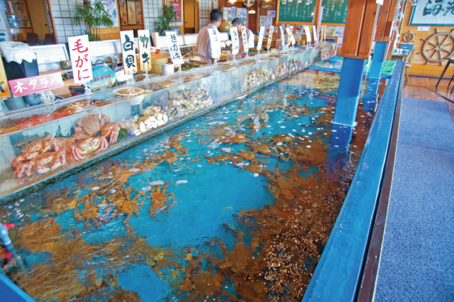 大型水槽に泳ぐイカをいただく「函館海鮮料理 海光房」