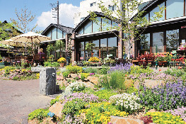 【長野・小諸&佐久×観光】四季の草花に美しく彩られた庭「停車場ガーデン」