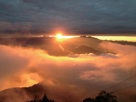 編集部が実際に体験してきました!