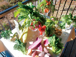 オーベルジュ メイヤの樹