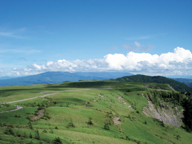 【美ヶ原高原×ハイキング】王ヶ頭