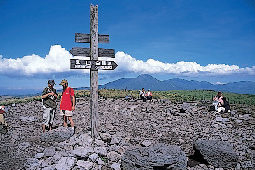 【霧ヶ峰高原×ハイキング】蝶々深山