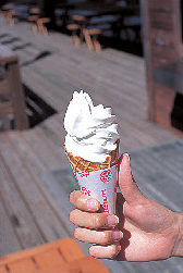 【霧ヶ峰高原×ハイキング】霧の駅