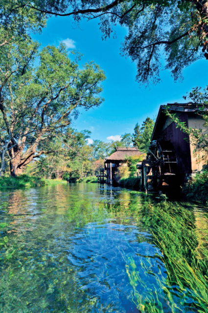 安曇野の原風景が広がる大王わさび農場を散策