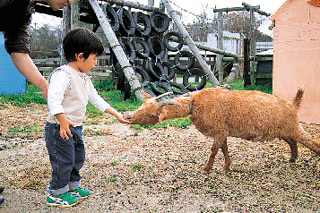 〈野辺山の観光スポット〉滝沢牧場