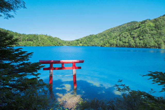 【湖沼】長野の絶景スポット:大沼池(志賀高原)