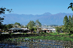 大王わさび農場