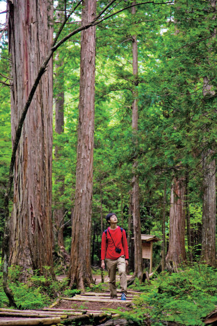 【信州観光×秘境癒しプラン】11:00 赤沢自然休養林