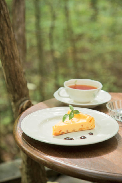 絵本美術館&コテージ 森のおうち