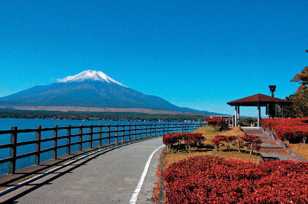 【山中湖×観光】長池親水公園
