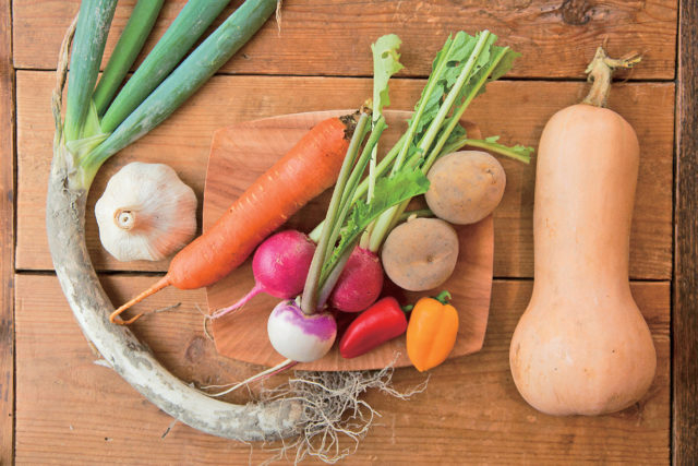 【松本のおすすめ観光スポット】Alps gohan