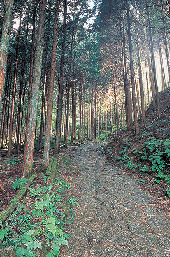 【木曽十一宿】馬籠宿の街歩きポイントは?