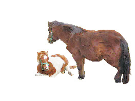 まきば公園のかわいい動物とグルメ情報