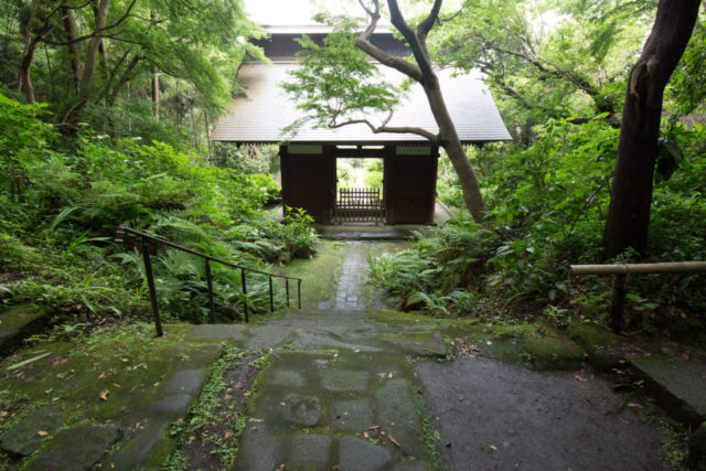 妙法寺で鎌倉の四季を感じる