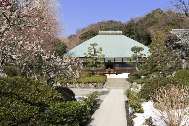 【鎌倉・浄妙寺】季節の花々