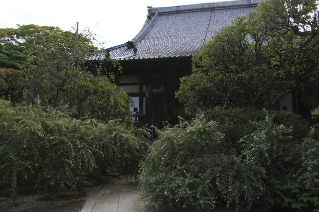 北条一族ゆかりの寺で白萩を愛でる「宝戒寺」