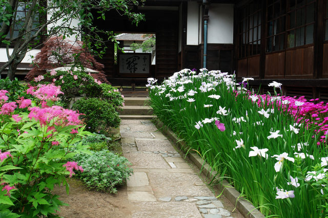 SNSにアップしたい季節の花々