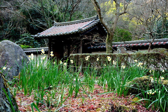 【鎌倉・金沢街道×おすすめスポット】瑞泉寺で四季を感じる