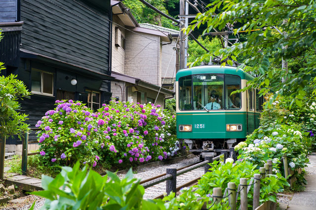 【SNSにアップしたい】季節の花々