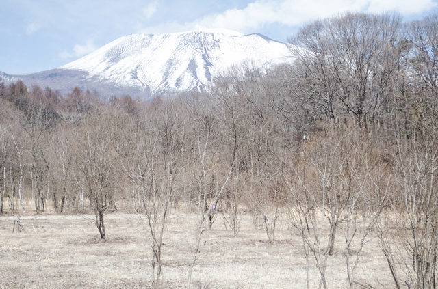 信濃追分駅すぎ