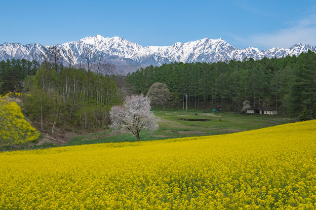 丘一面に花咲く中山高原でコーヒーとともに至福のひと時を