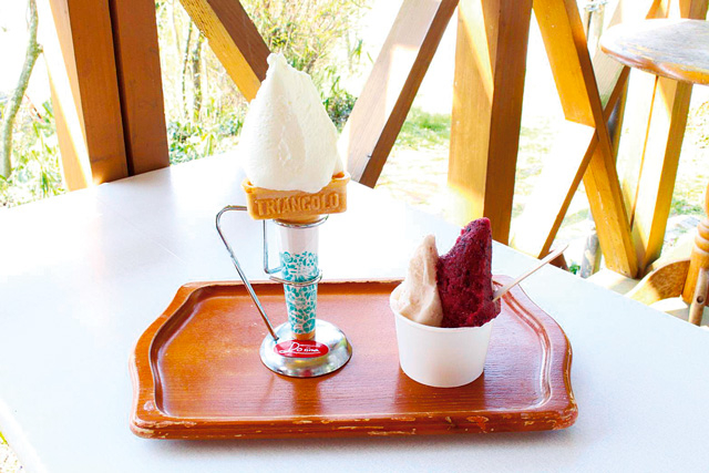 ジェラート工房ドナ