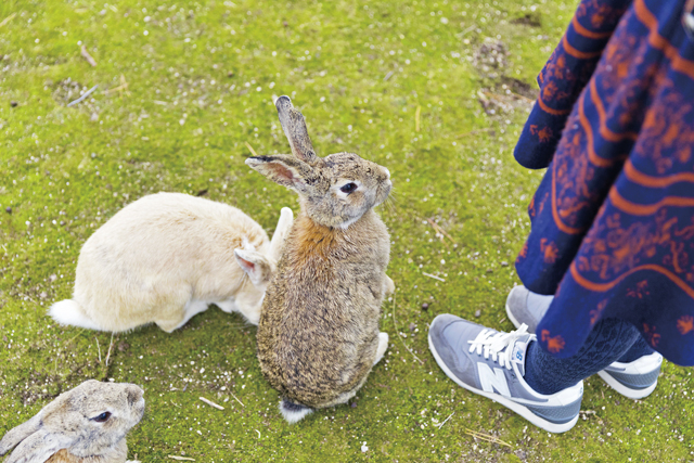 大久野島はこんなところ