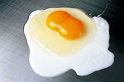 厳選した素材の数々