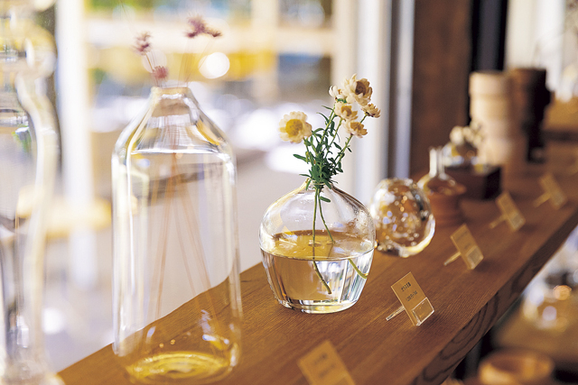 【向島 グルメスポット】立花食堂