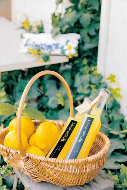 【しまなみ海道×シトラス土産】大三島Limone