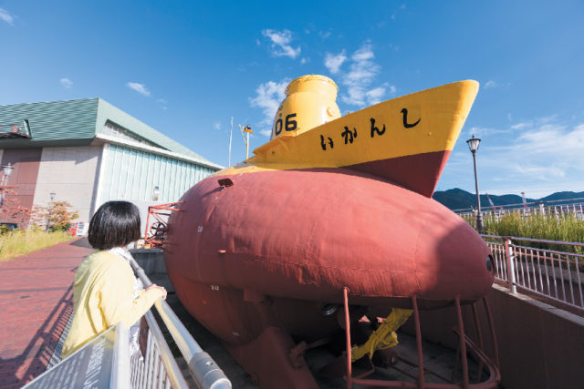 屋外の展示にも注目!!