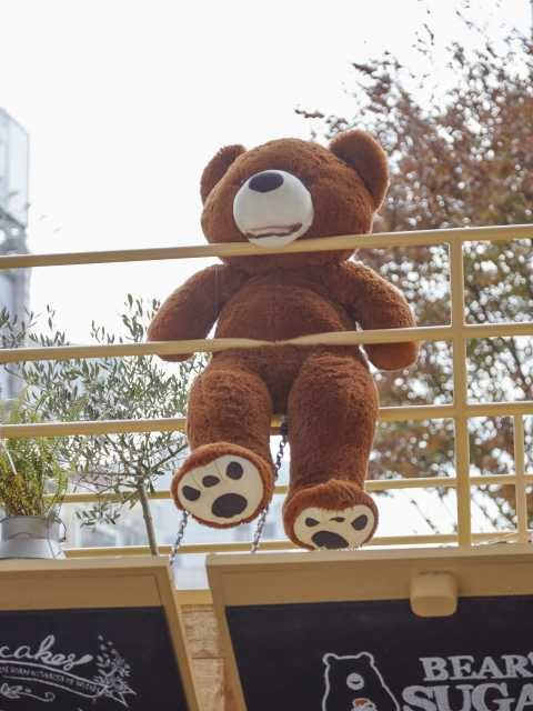 BEAR’S SUGAR SHACK