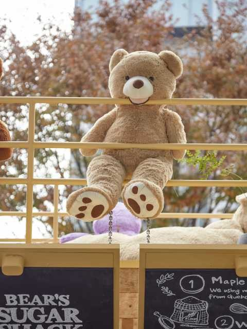 BEAR’S SUGAR SHACK