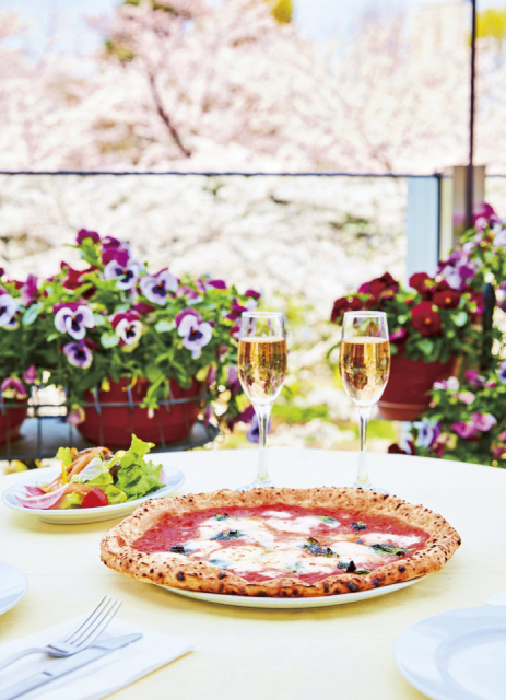 【六本木・東京ミッドタウン×ランチ】ピッツェリア・トラットリア・ナプレ