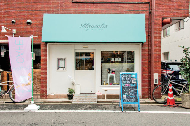 Alaucalia Coffee Beans Bank