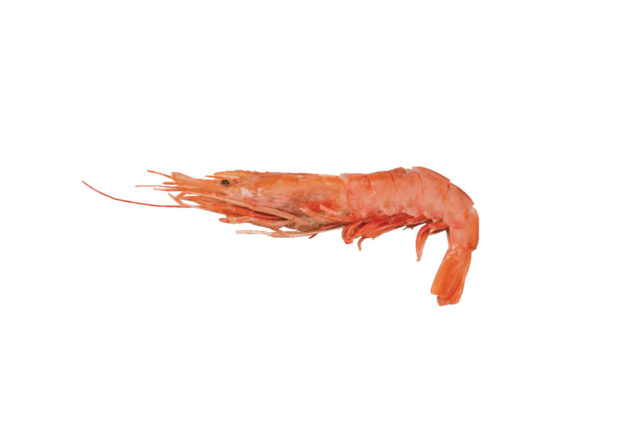 1 食材を選ぼう