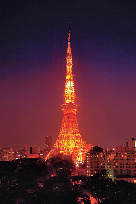 ライトアップも撮りたい!