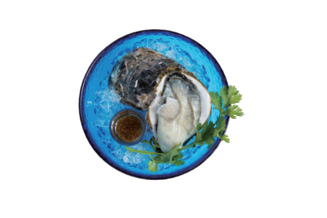 これでカンパイ