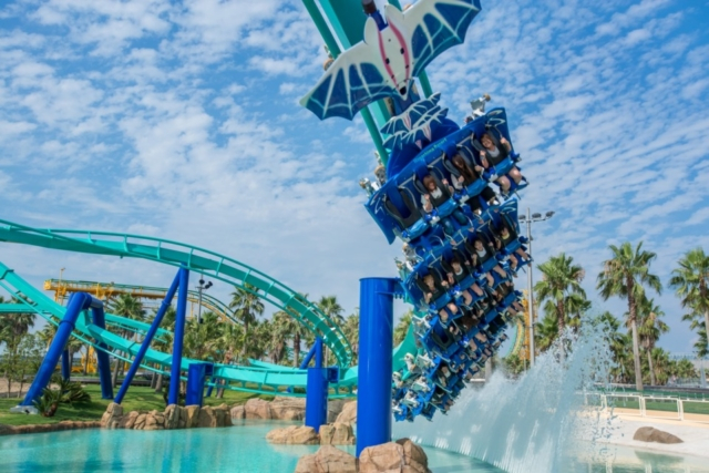 【NO.3】アクロバット