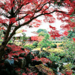 名古屋城内の名所めぐり⑥名勝二之丸庭園