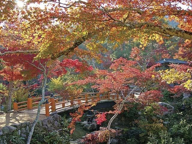 ベストシーズン